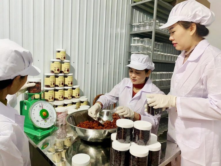 Đổi mới sáng tạo thực hiện Chương trình hành động số 135-CTr/TU