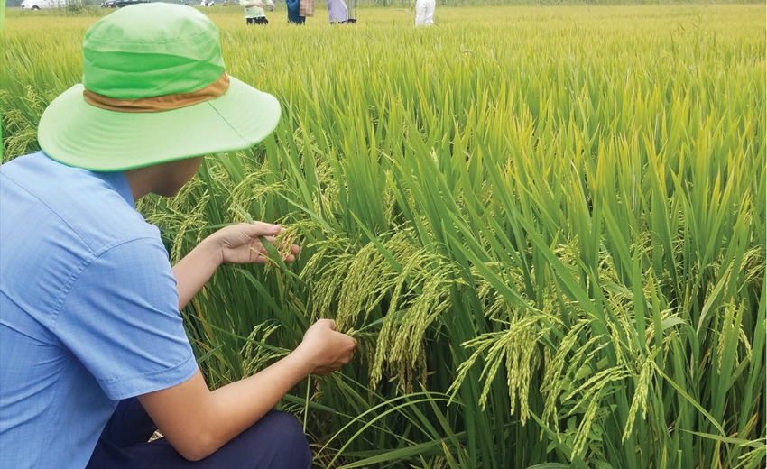 Thừa Thiên Huế: Gắn chất lượng với quảng bá sản phẩm