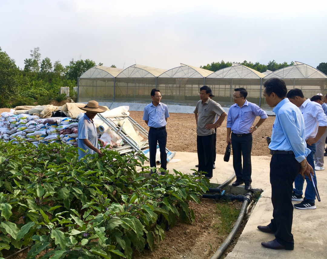 Liên minh Hợp tác xã tỉnh Đắk Lắk: Dấu ấn 30 năm hình thành và phát triển