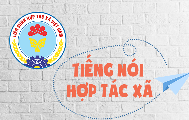 tieng noi htx