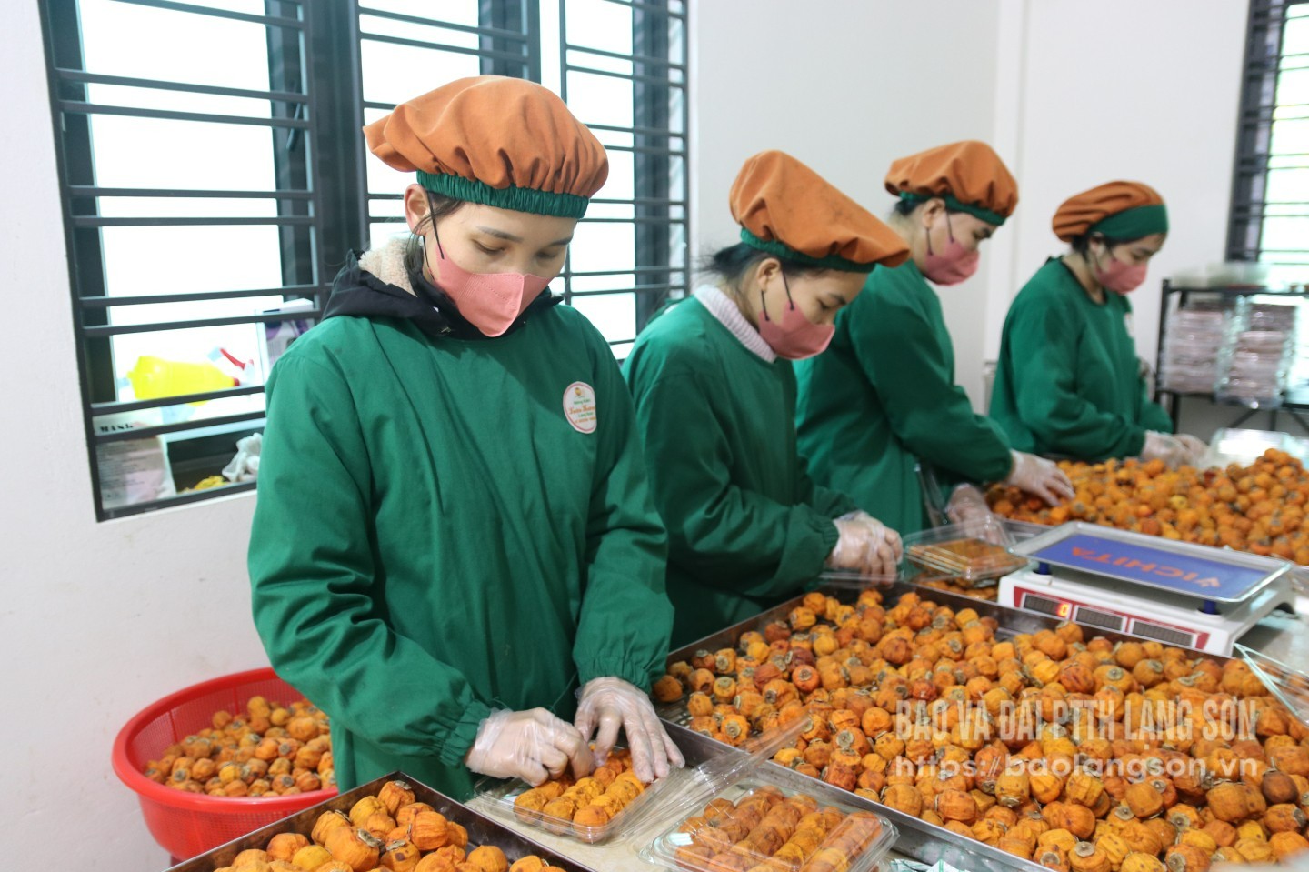 Những "bóng hồng" khởi nghiệp