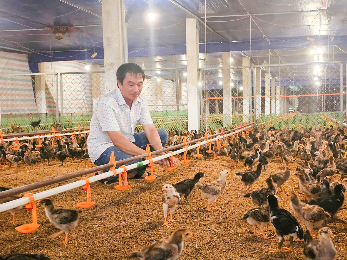 Quảng Trị: Phát huy hiệu quả của quỹ hỗ trợ phát triển hợp tác xã