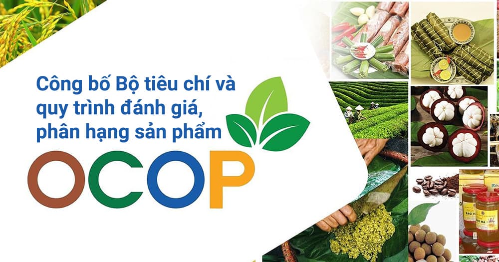 Sửa đổi, bổ sung tiêu chí đánh giá, phân hạng sản phẩm OCOP