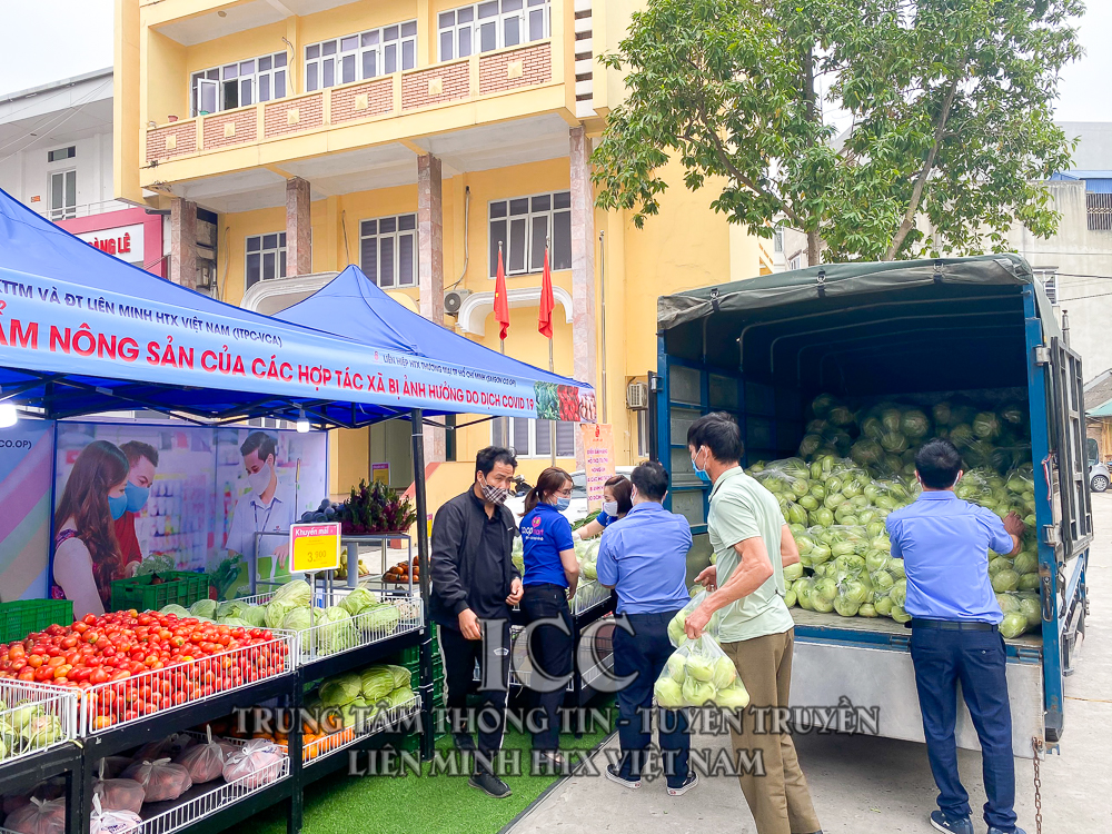 Sự kiện Quý I