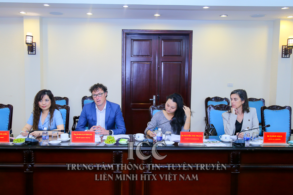 Sự kiện Quý II
