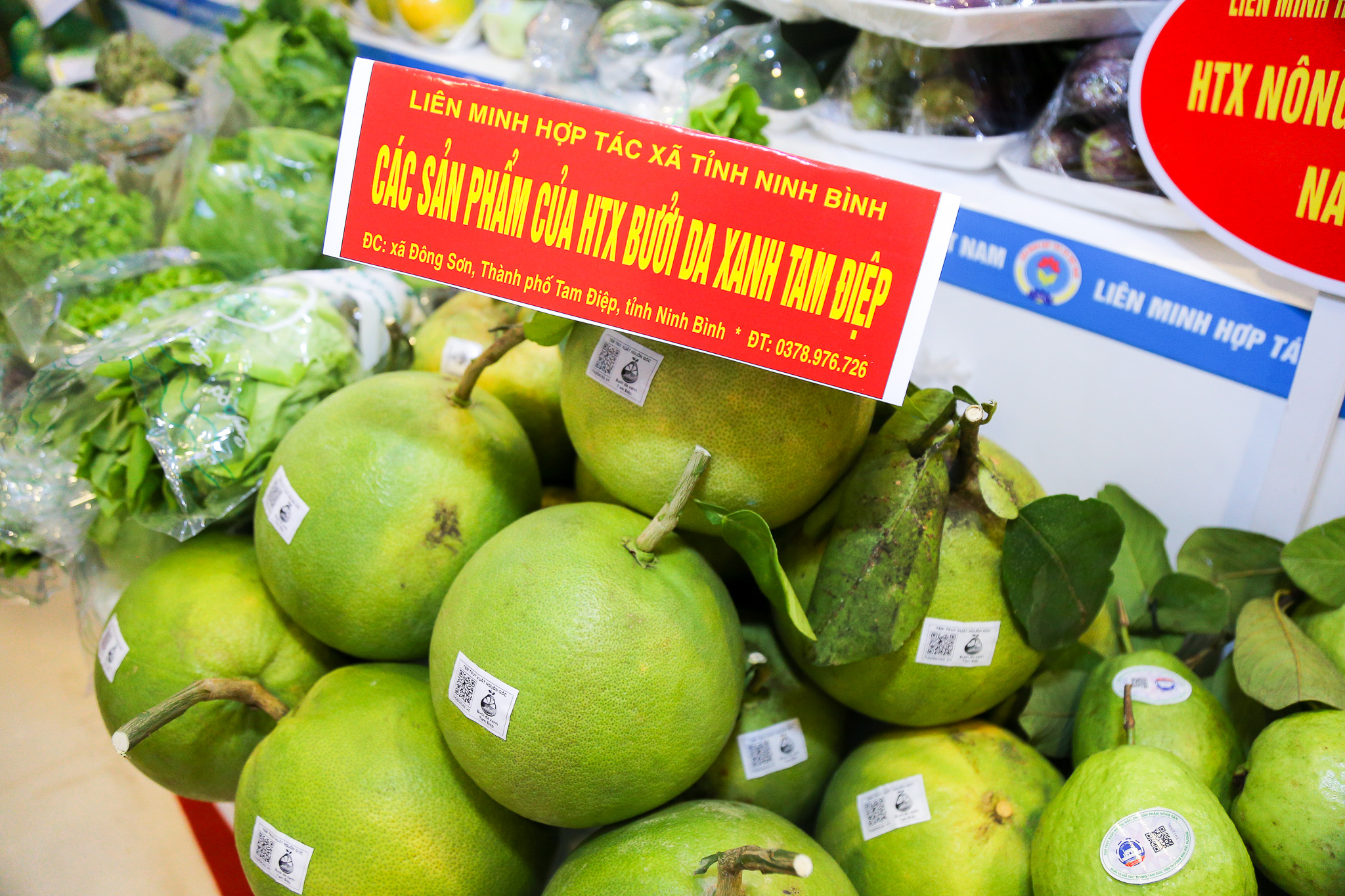 Sự kiện Quý III