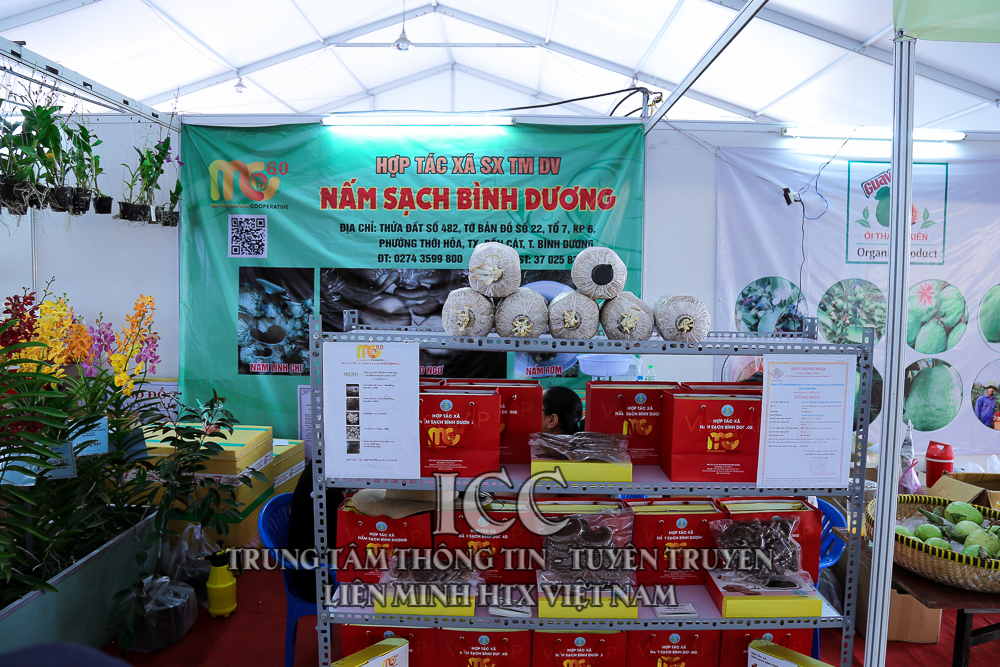 Sự kiện Quý II