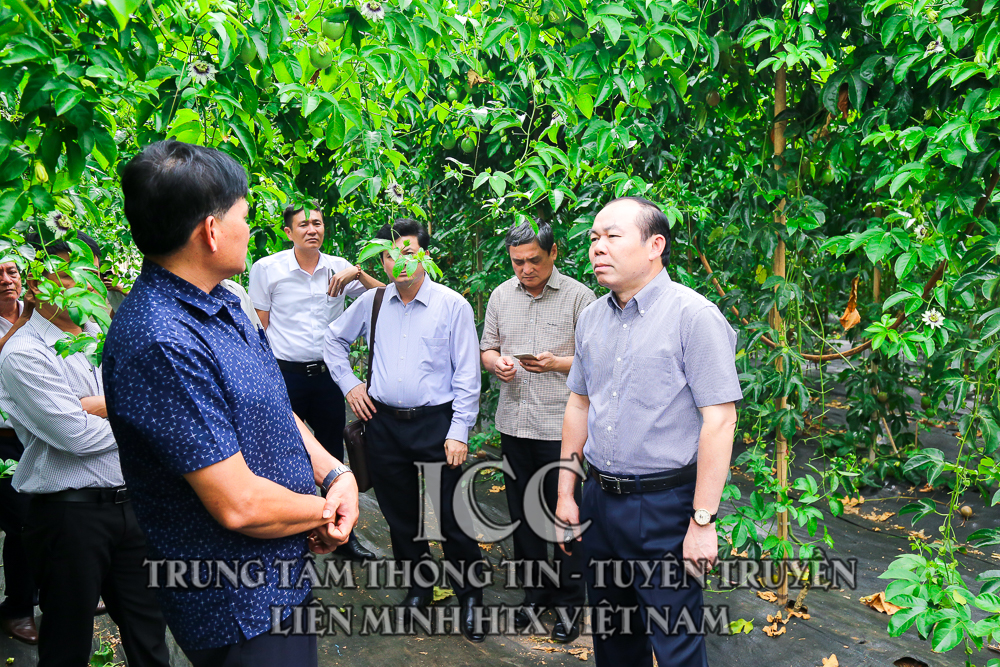 Sự kiện Quý II