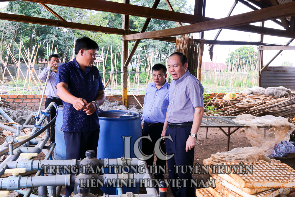 Sự kiện Quý II