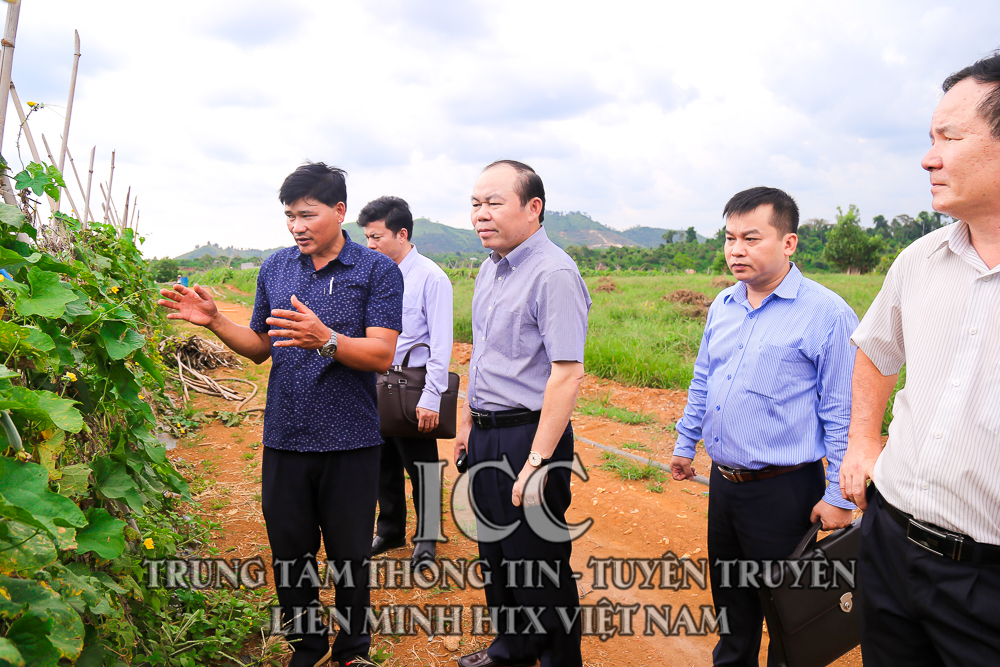 Sự kiện Quý II