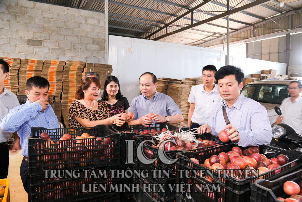 Sự kiện Quý II