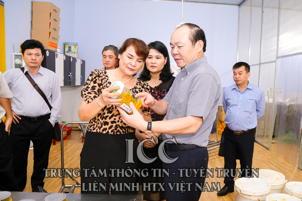 Sự kiện Quý II