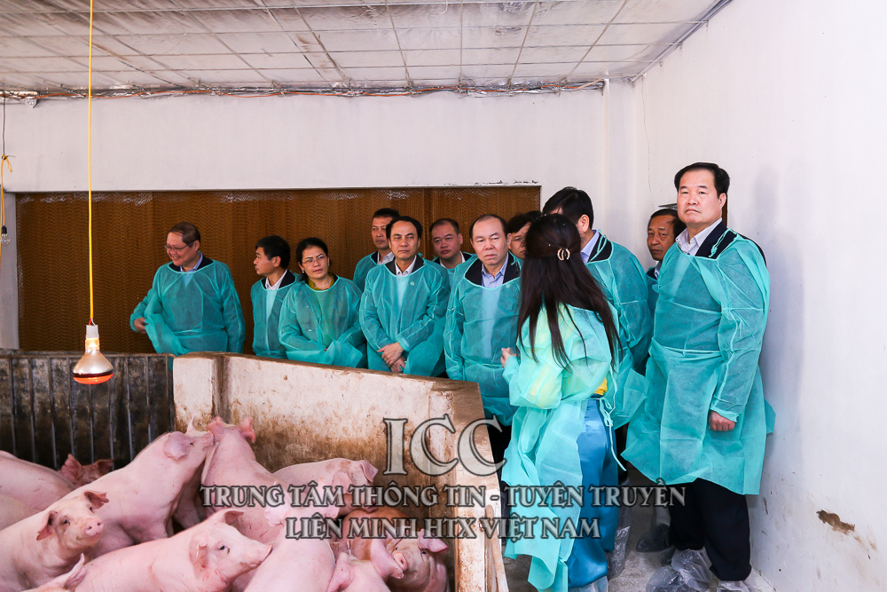Sự kiện Quý I
