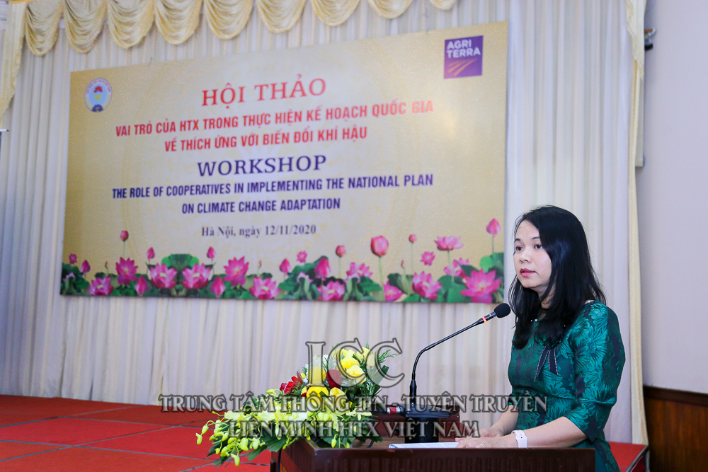 Sự kiện Quý IV