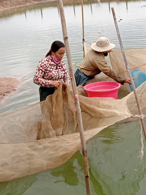 Hợp tác xã cá giống tiêu biểu vùng Tây Nguyên