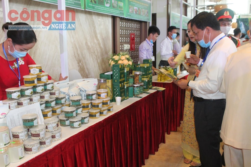 Nghệ An: Nâng cao hiệu quả hoạt động của hợp tác xã