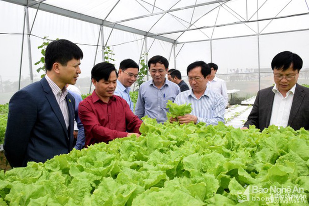 Phát triển kinh tế hợp tác xã Việt Nam trong bối cảnh mới