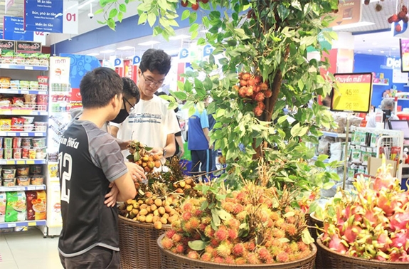 Liên hiệp Hợp tác xã Thương mại TP Hồ Chí Minh nỗ lực tiêu thụ nông sản phía Bắc