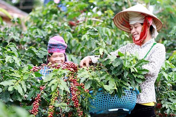 Chủ tịch Liên minh Hợp tác xã Việt Nam tham gia cuộc họp BCĐ phát triển KT-XH đồng bào dân tộc thiểu số