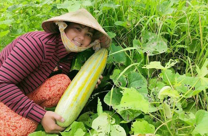 Nông dân tập làm thương lái trong đại dịch