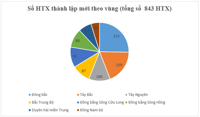 Tình hình phát triển kinh tế tập thể, hợp tác xã 6 tháng đầu năm 2021