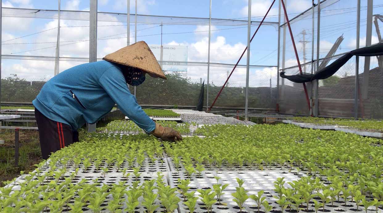 Nghị quyết số 105/NQ-CP và những chính sách kịp thời giúp hợp tác xã phục hồi giữa đại dịch