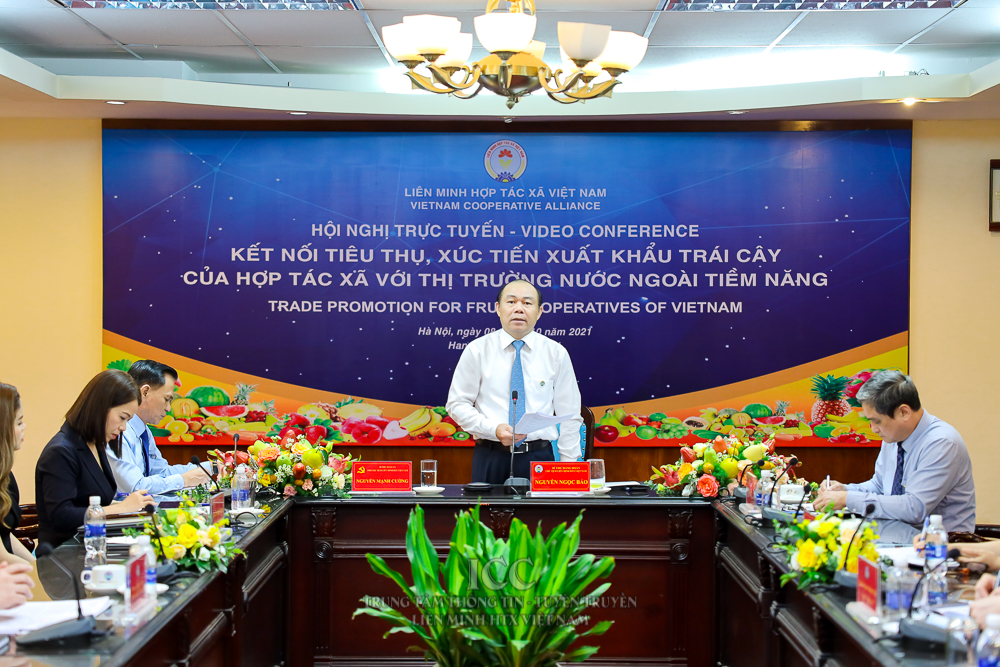 Phóng sự ảnh: Hội nghị “Kết nối tiêu thụ, xúc tiến xuất khẩu trái cây của hợp tác xã với các thị trường nước ngoài tiềm năng” 