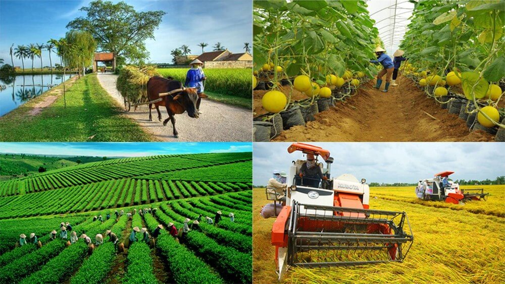 SỬA ĐỔI LUẬT HỢP TÁC XÃ: MÔ HÌNH ĐẶC THÙ CẦN CƠ CHẾ ĐẶC THÙ