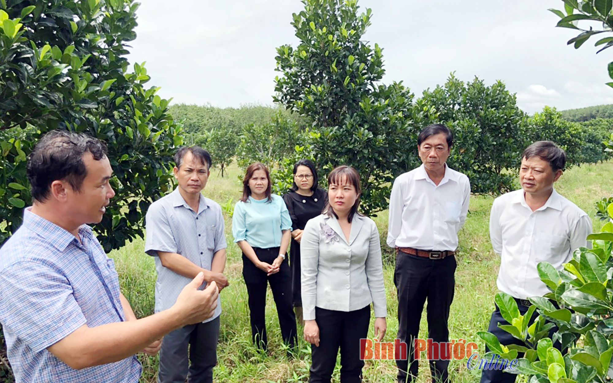 Cần mở rộng liên kết để nâng chất hoạt động hợp tác xã