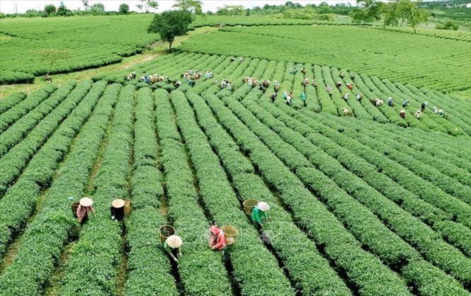 Bài 1: Nắm bắt dòng chảy mới của thị trường