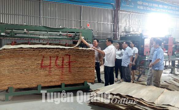 Tuyên Quang: Đầu tư đổi mới công nghệ, tạo sản phẩm mới
