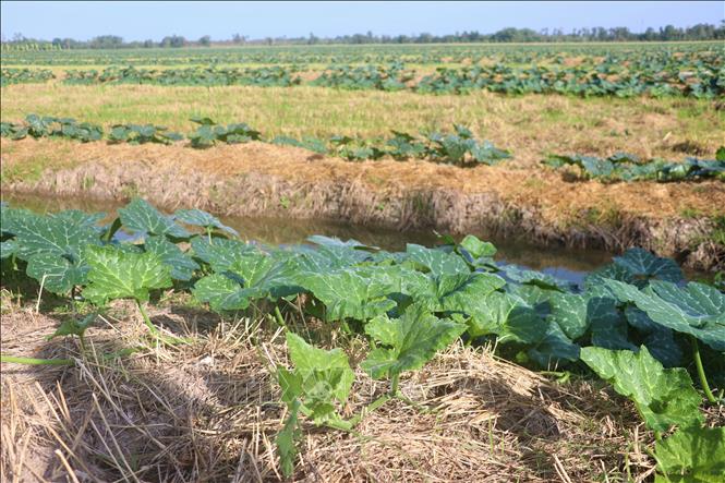 Tháo nút thắt để phát triển kinh tế nông nghiệp