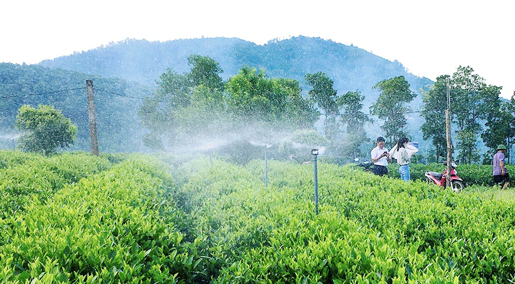 Lập tổ hỗ trợ miễn phí hợp tác xã, hộ kinh doanh chuyển đổi số
