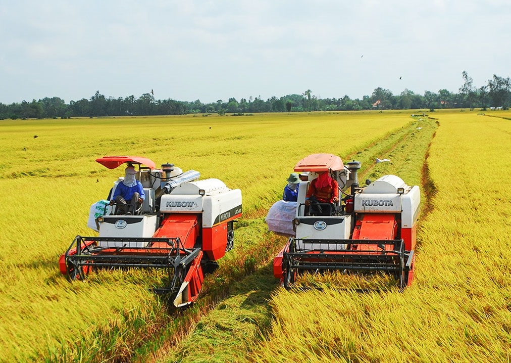 Tận dụng cơ hội do biến đổi khí hậu để phát triển bền vững hợp tác xã nông nghiệp vùng ĐBSCL