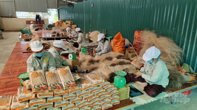Cao Bằng: 127 hợp tác xã hoạt động lĩnh vực nông, lâm nghiệp