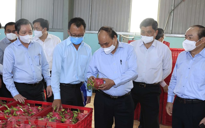 Lao động trẻ về làm việc tại tổ chức kinh tế tập thể sẽ được hỗ trợ lương và đào tạo