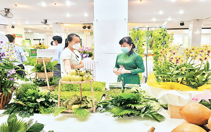 Xây dựng hợp tác xã nông nghiệp theo chuỗi liên kết
