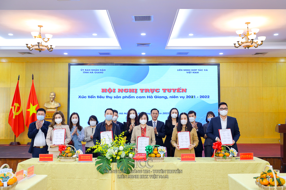 Thúc đẩy liên kết, tiêu thụ sản phẩm cam Hà Giang đến thị trường trong cả nước