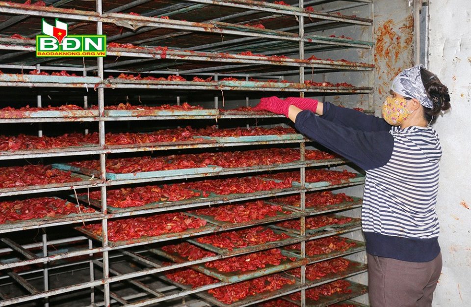 Các hợp tác xã "khát" người trẻ