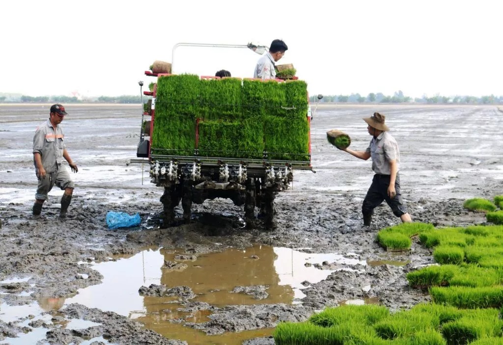 Gỡ khó về vốn cho HTX nông nghiệp