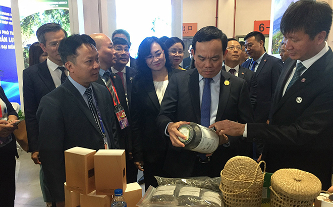 Yên Bái thúc đẩy hiệu quả các hoạt động xúc tiến thương mại