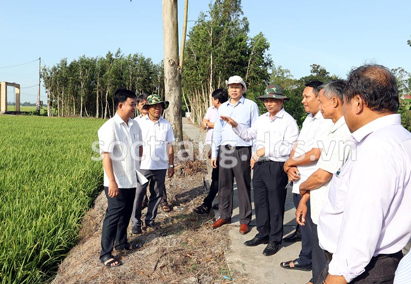 Để sản xuất cây lúa, cây màu tốt cần đảm bảo nguồn nước tưới