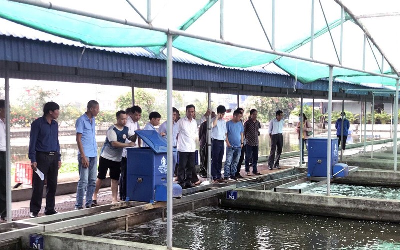 Kích hoạt nguồn lực cho kinh tế tập thể, hợp tác xã