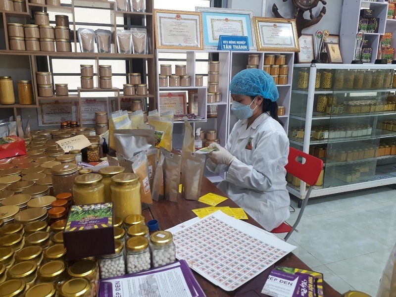 Thành phố Bắc Kạn hỗ trợ phát triển kinh tế tập thể để giảm nghèo bền vững