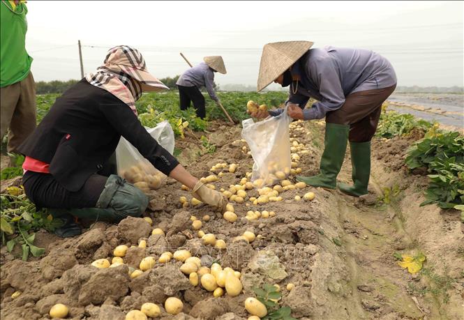Bài 1: Phát huy vai trò kết nối