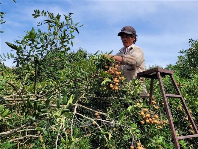 Bài cuối: Đổi mới tăng nội sinh, phát huy hiệu quả
