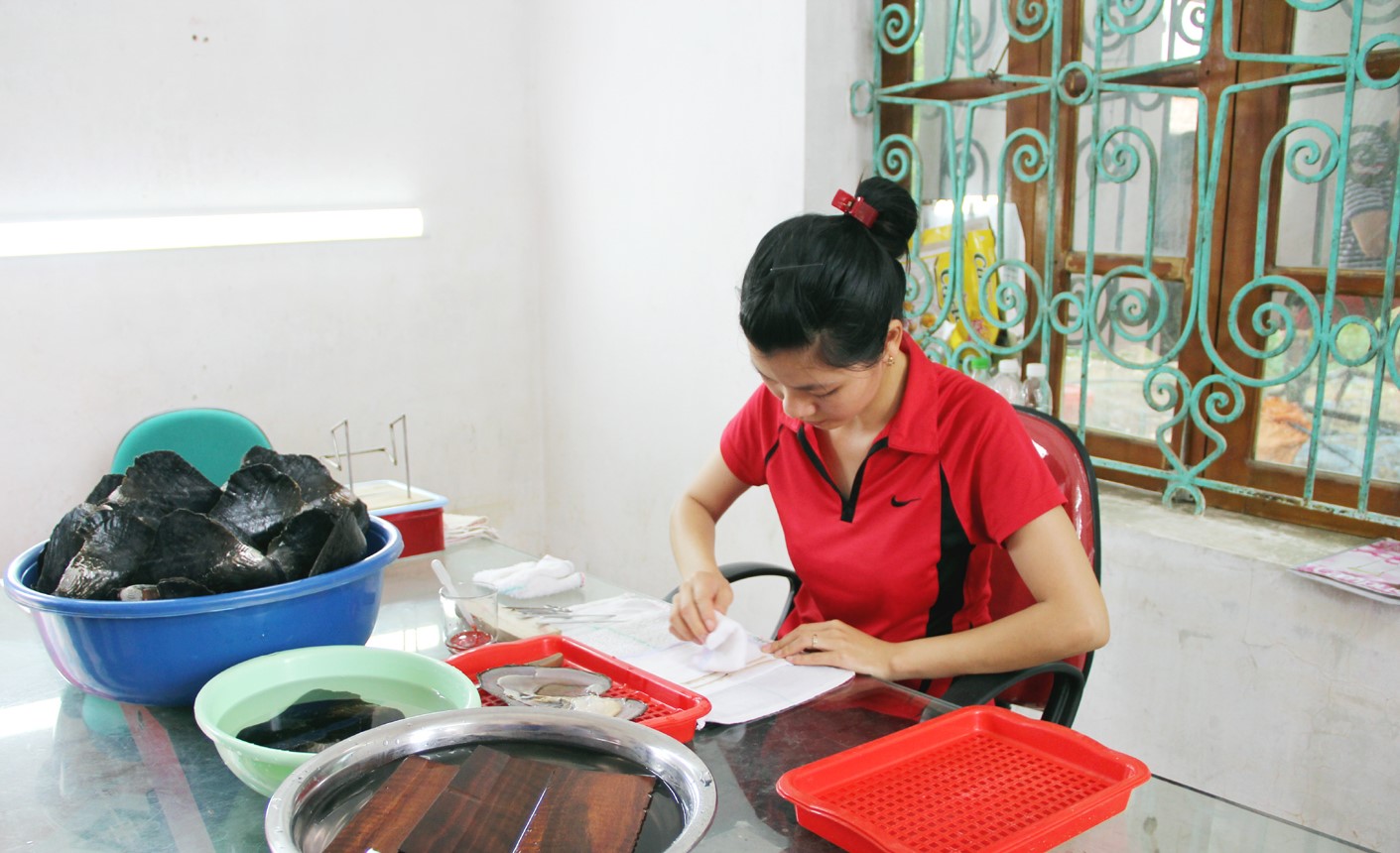Hỗ trợ hợp tác xã do phụ nữ tham gia quản lý và tạo việc làm cho lao động nữ đến năm 2030