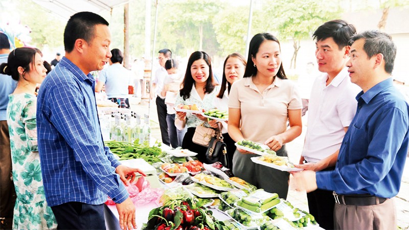 Liên kết trong sản xuất nông nghiệp, thúc đẩy xây dựng nông thôn mới
