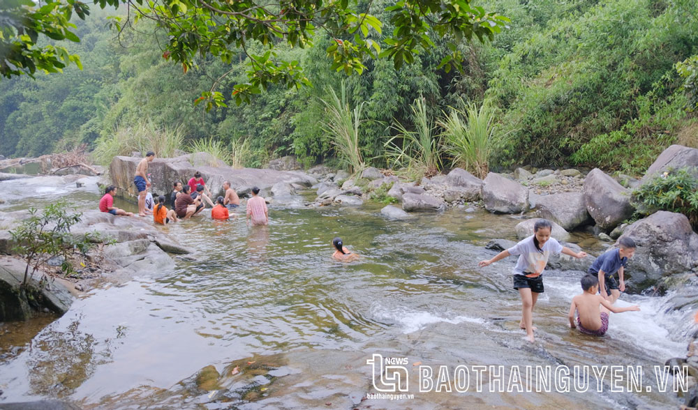 Du lịch trải nghiệm vùng chè: Chưa xứng với tiềm năng