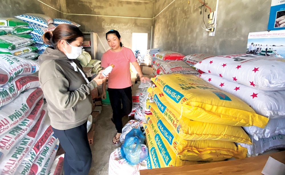 Nâng cao chất lượng hoạt động của các hợp tác xã